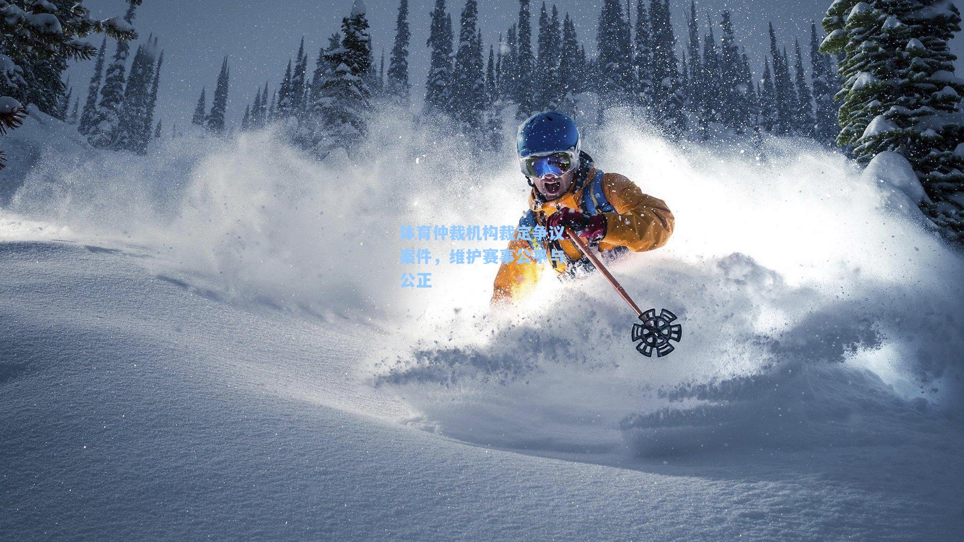 体育仲裁机构裁定争议案件，维护赛事公平与公正