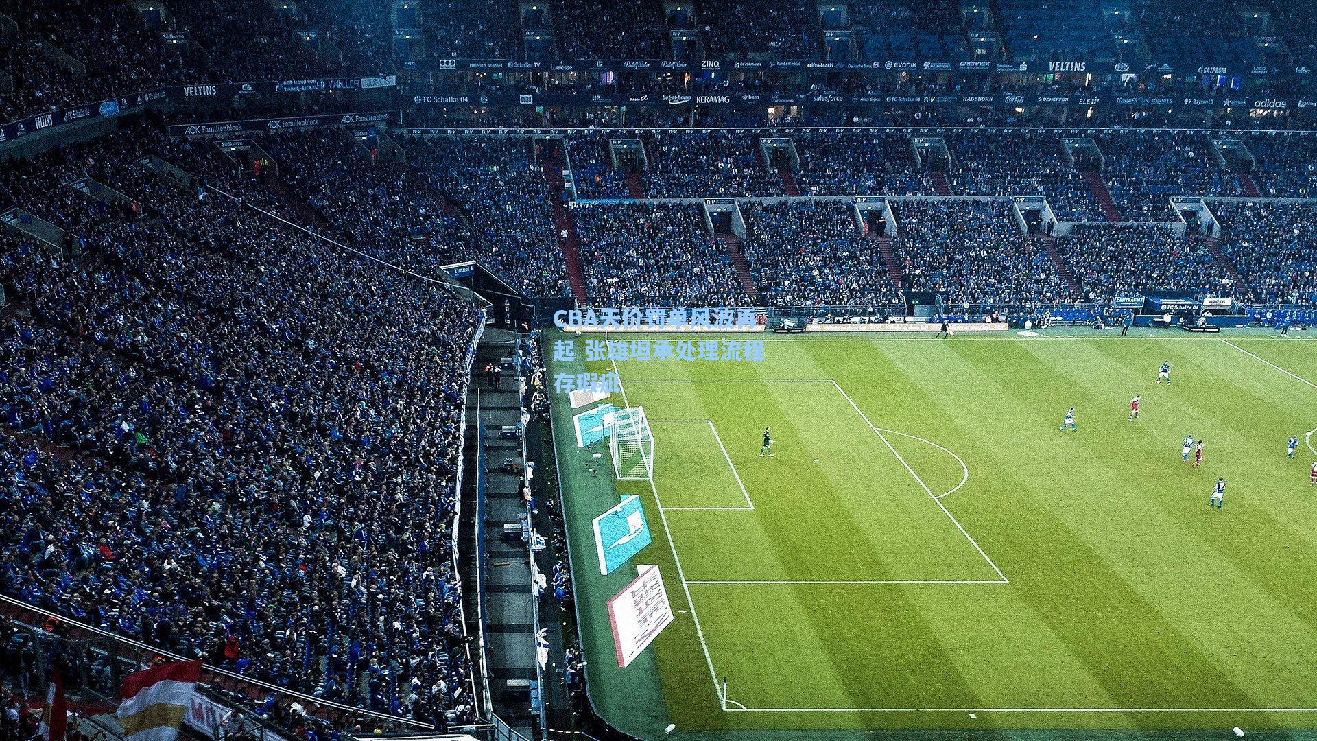 CBA天价罚单风波再起 张雄坦承处理流程存瑕疵